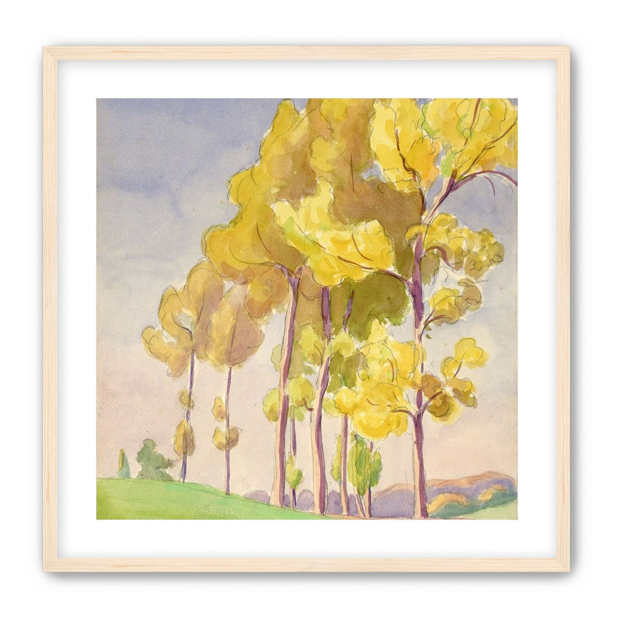 Yellow crowns on the hill