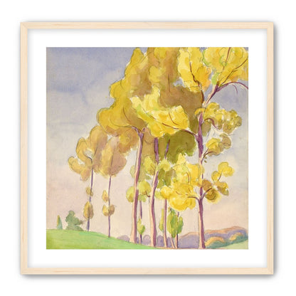 Yellow crowns on the hill
