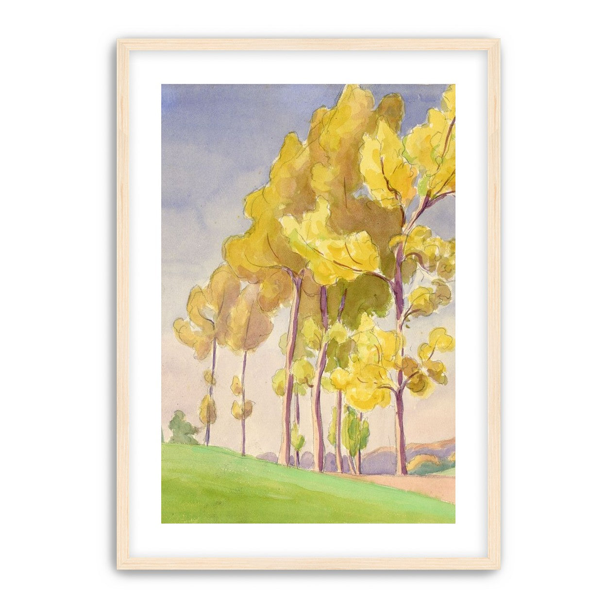 Yellow crowns on the hill