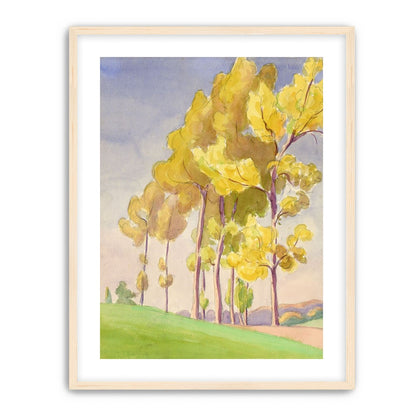 Yellow crowns on the hill