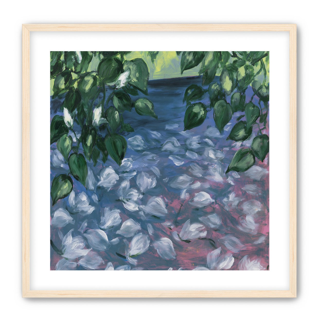 White petals on blue pond