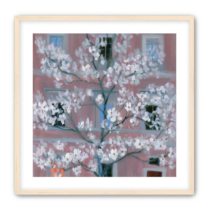White blossoms against the pink house