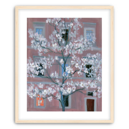 White blossoms against the pink house
