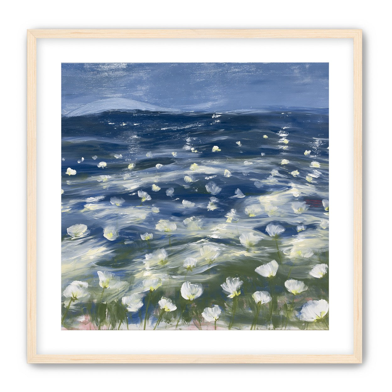 White flowers under blue sky