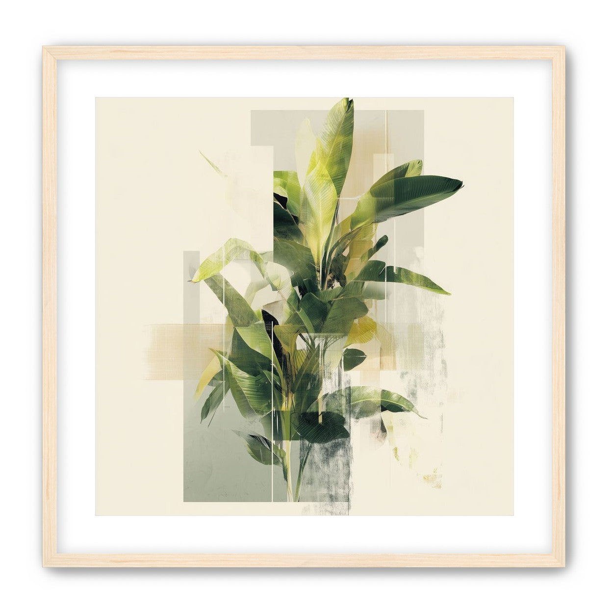 Plant in layered light