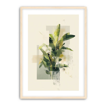 Plant in layered light