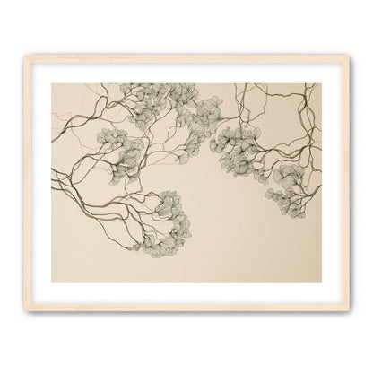 Trees Drawn in Continuous Lines