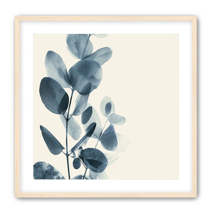 Eucalyptus in quiet blue