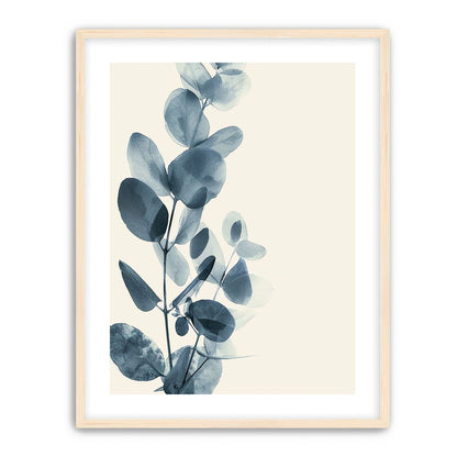 Eucalyptus in quiet blue