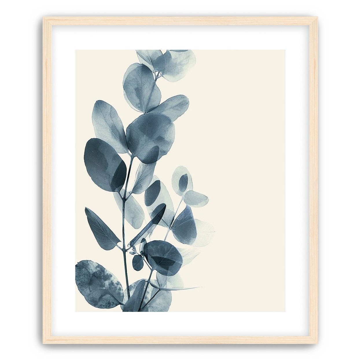 Eucalyptus in quiet blue