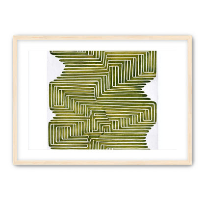 Olive bands in white quiet