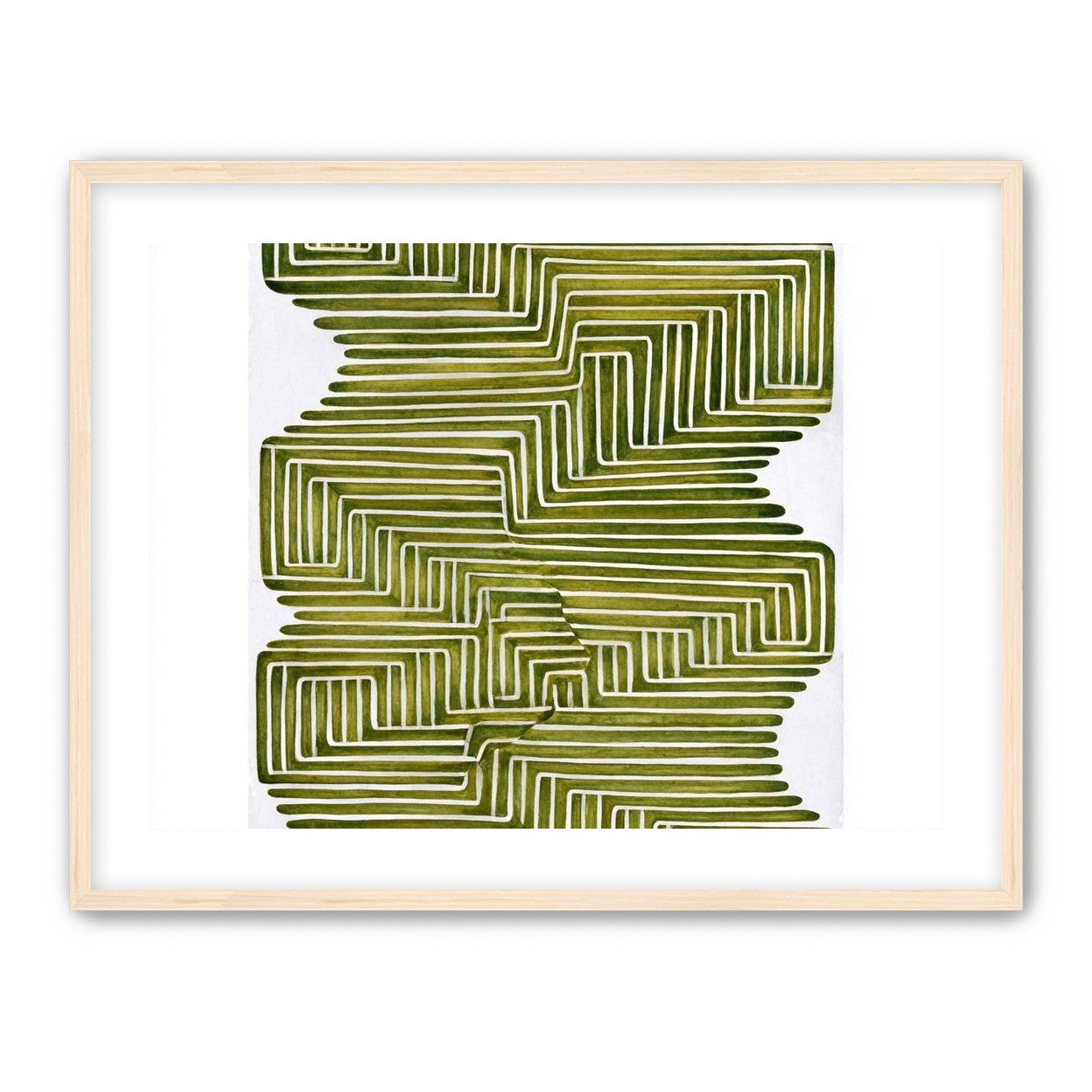Olive bands in white quiet