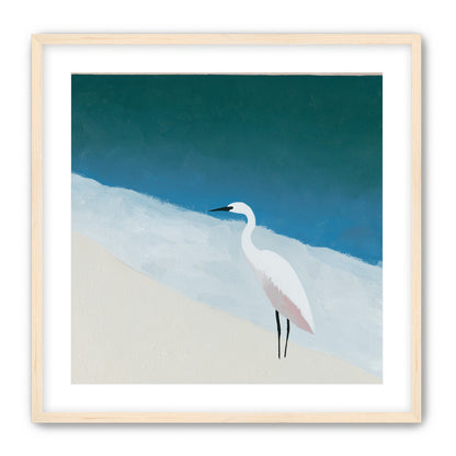 White egret at the shoreline
