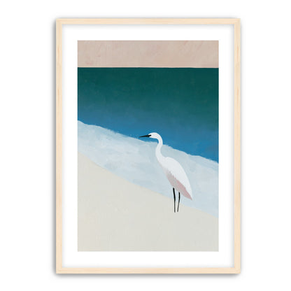 White egret at the shoreline