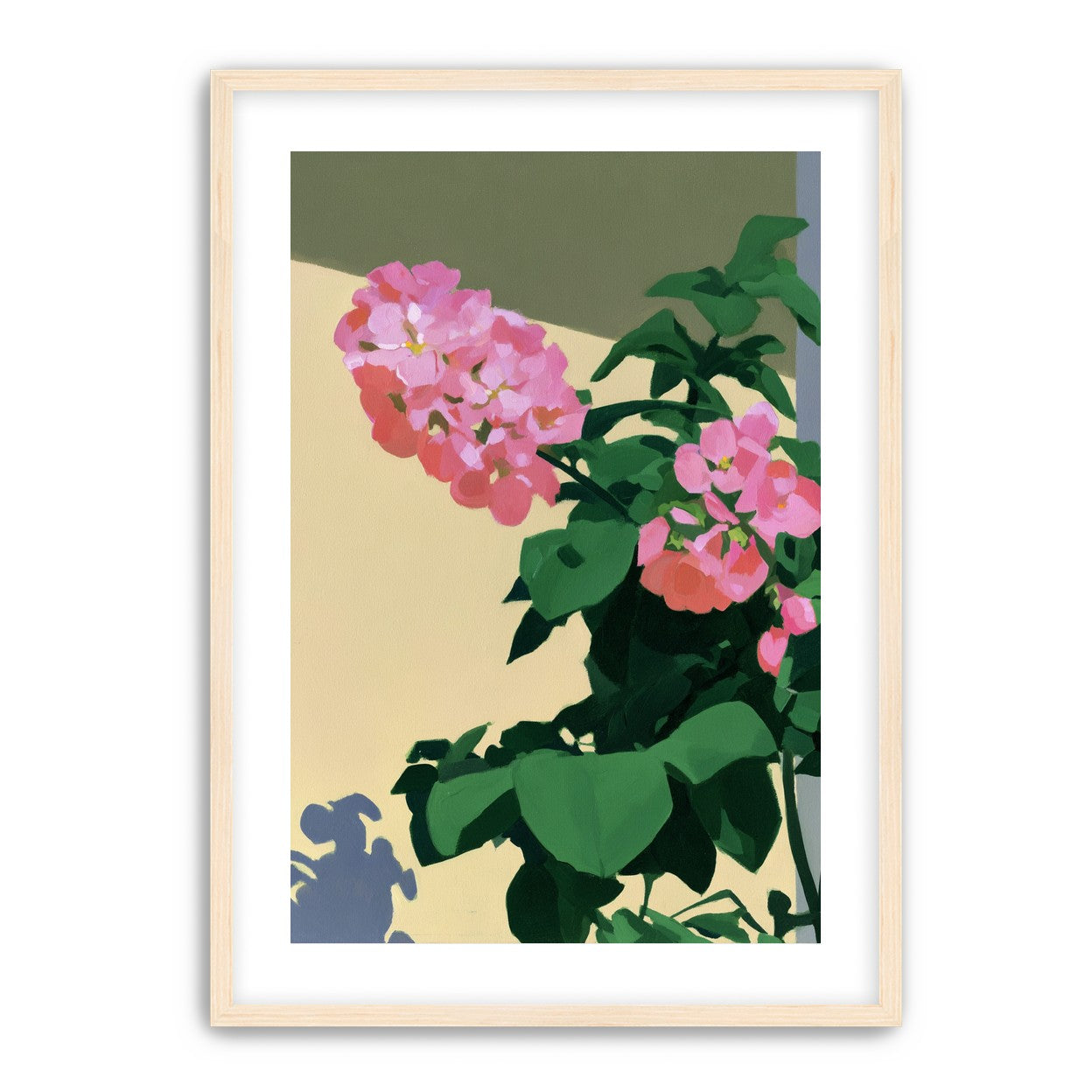 Pink blooms in hard light