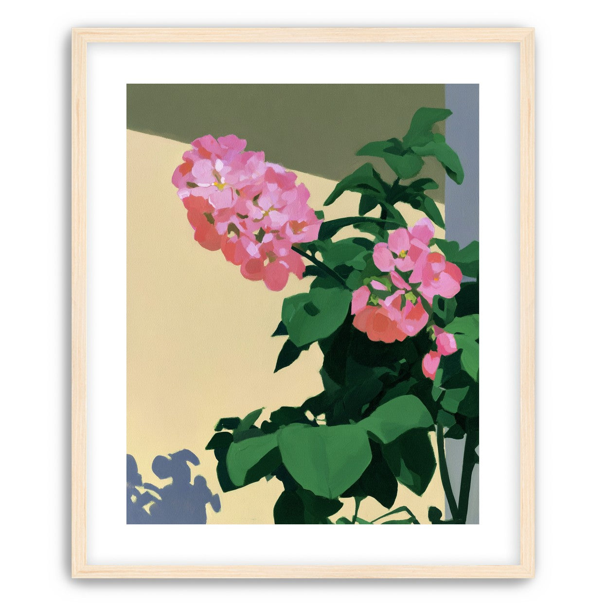 Pink blooms in hard light