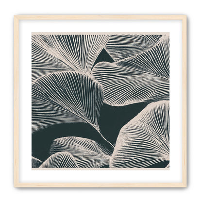 Pale veins on dark leaves