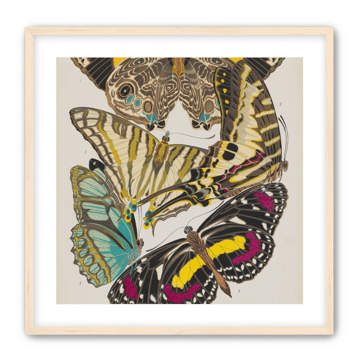 Butterflies among blank paper