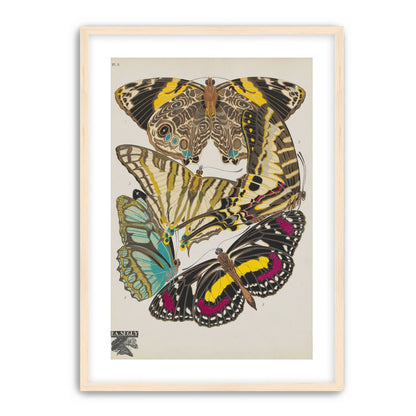 Butterflies among blank paper