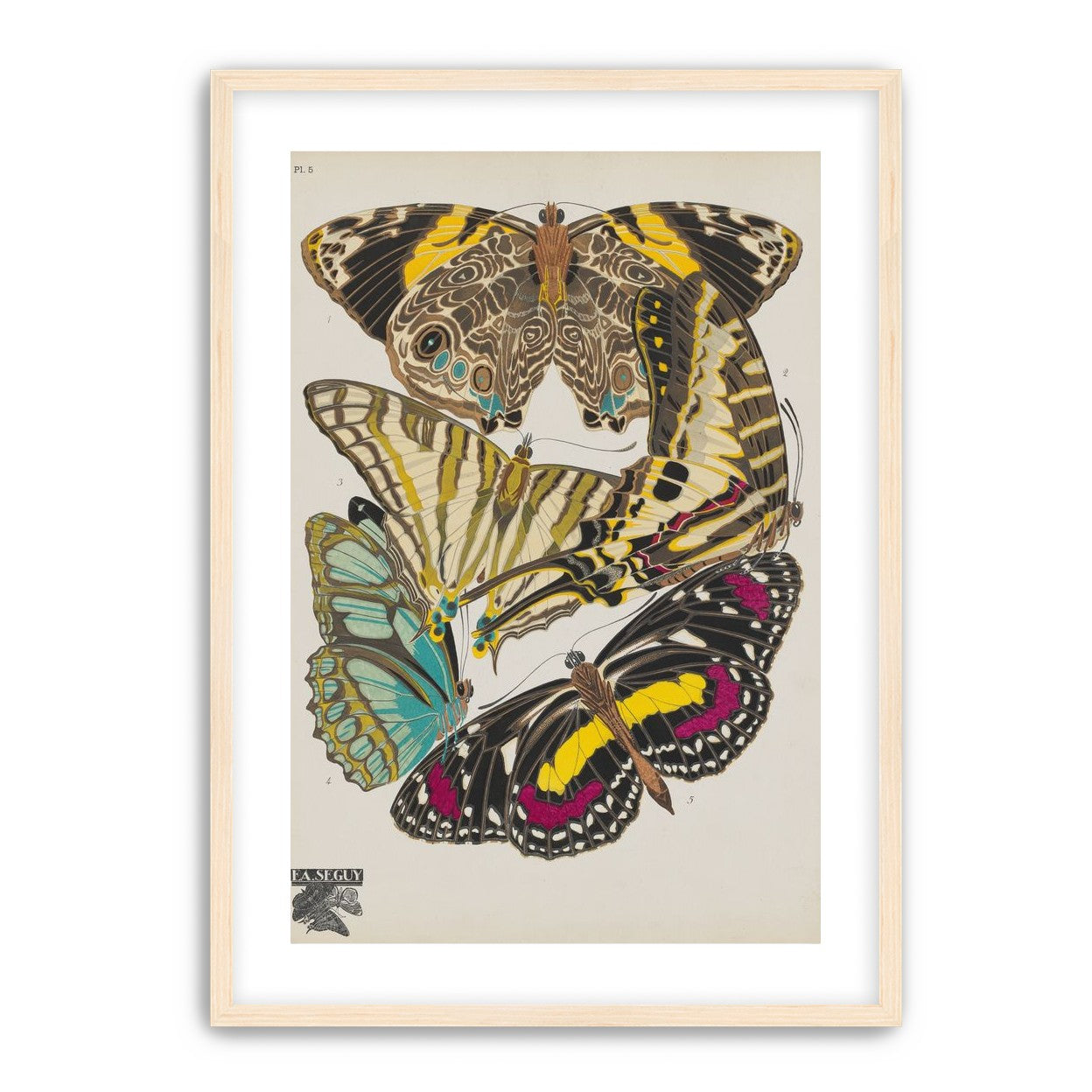 Butterflies among blank paper