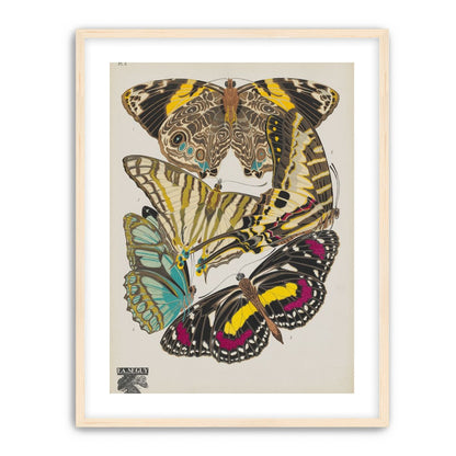 Butterflies among blank paper