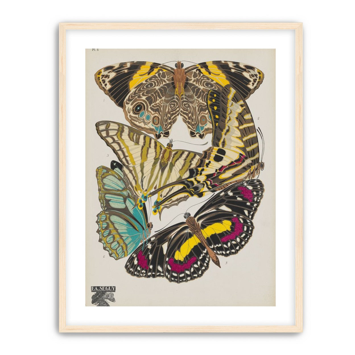 Butterflies among blank paper