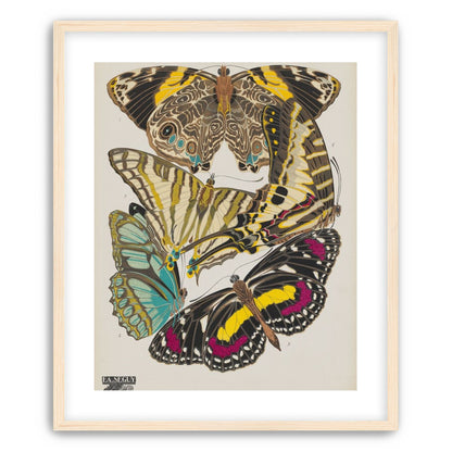 Butterflies among blank paper