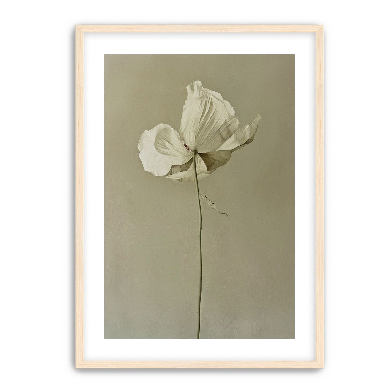 Ivory bloom in gray air