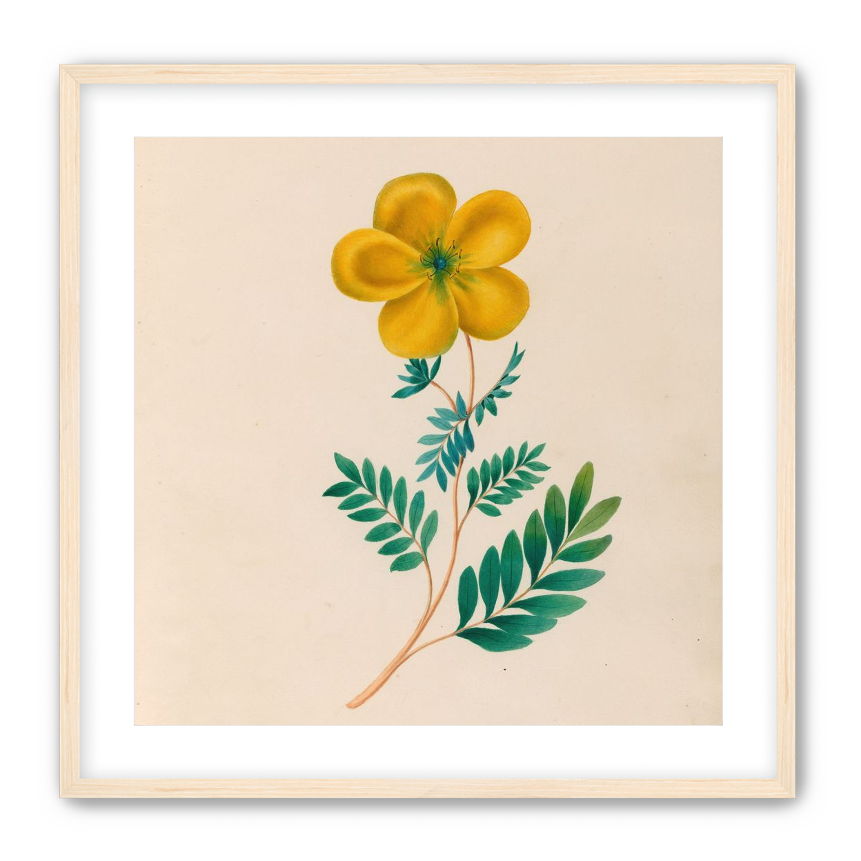 Yellow flower on pale paper