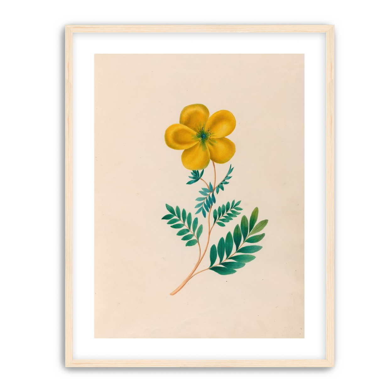 Yellow flower on pale paper