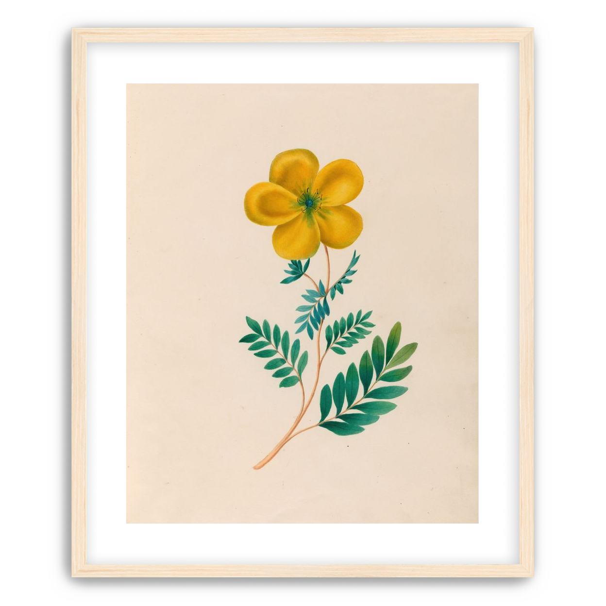 Yellow flower on pale paper