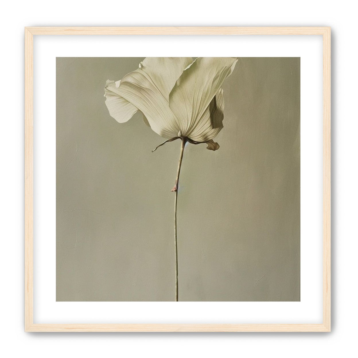 One flower and its hush