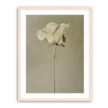 One flower and its hush