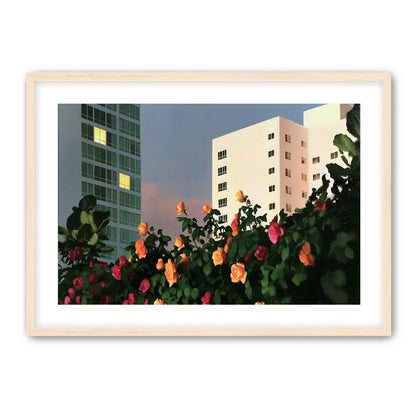 Roses below lit windows