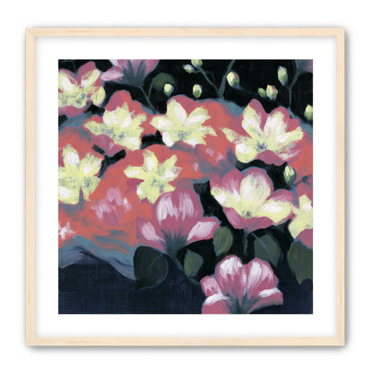 Flowers waking in the dark
