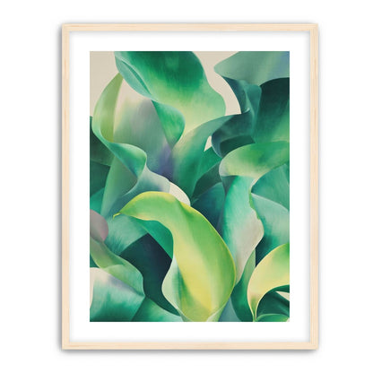 Calla lilies crowd the light