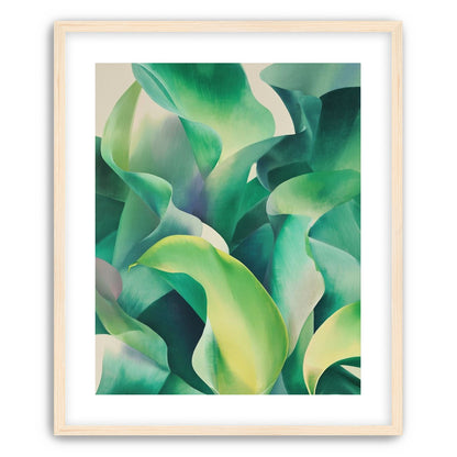 Calla lilies crowd the light