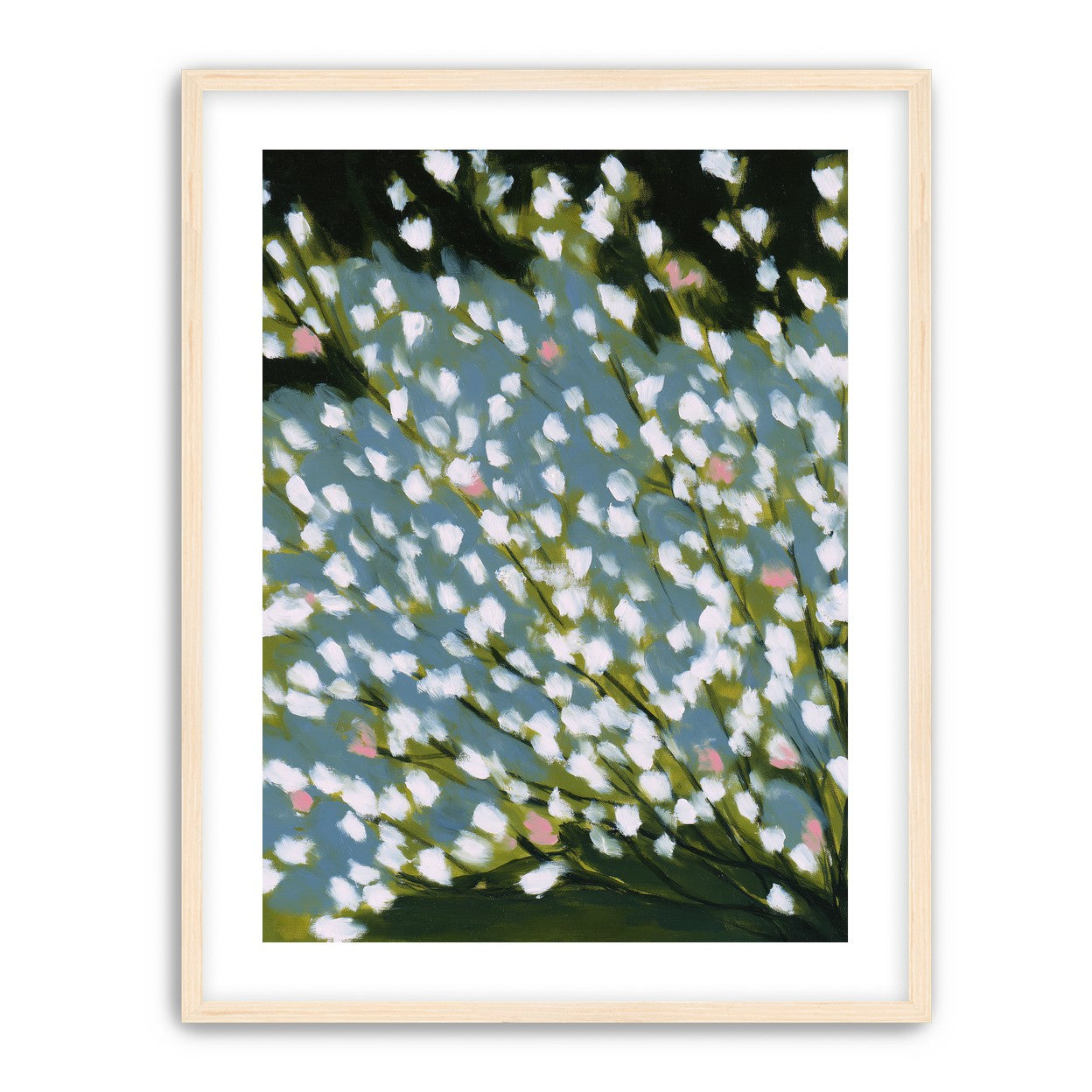 Pink breaks the white field