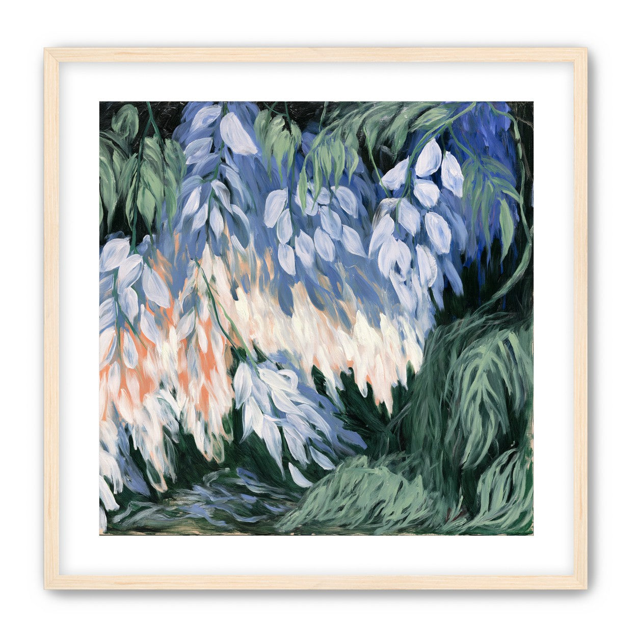 White blossoms in blue shade