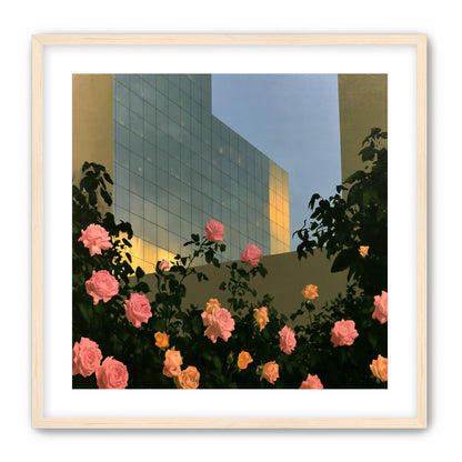 Roses against the glass wall