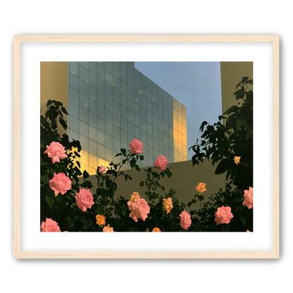Roses against the glass wall