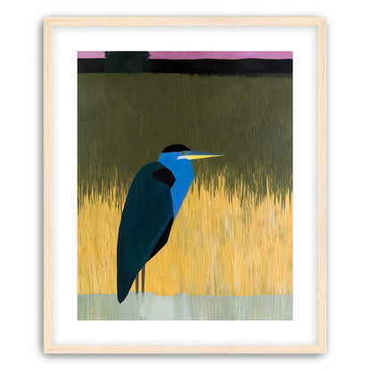 Blue bird in yellow grass