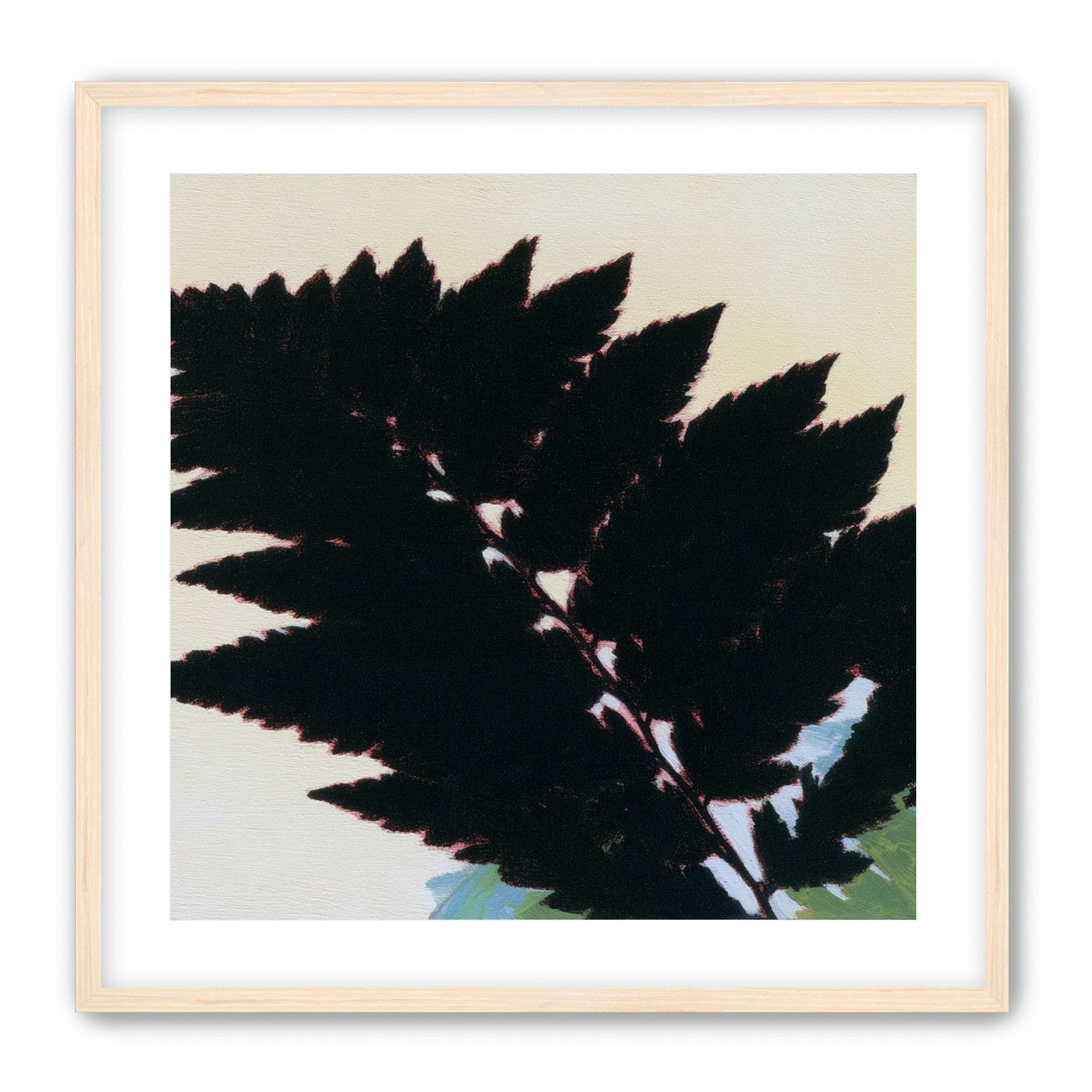 Black leaves on pale ground