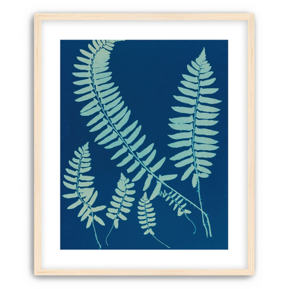 Fern shadows in blue