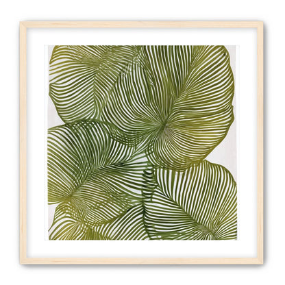 Palm leaves pressed together