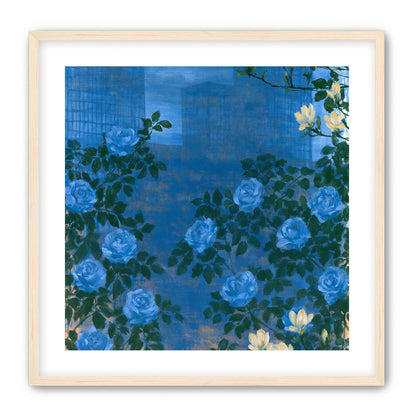 Roses against the blue towers