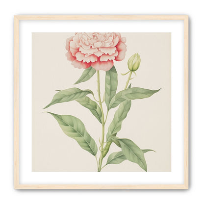 Delicate Blush