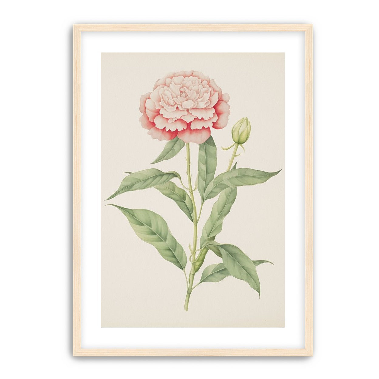 Delicate Blush