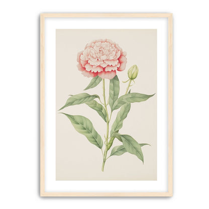 Delicate Blush