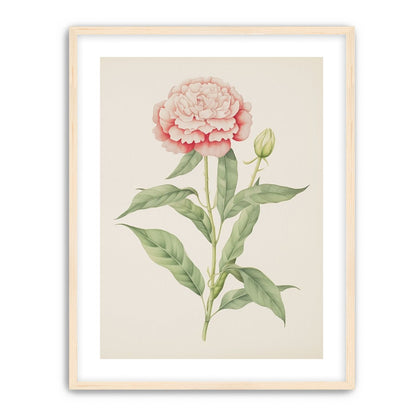 Delicate Blush